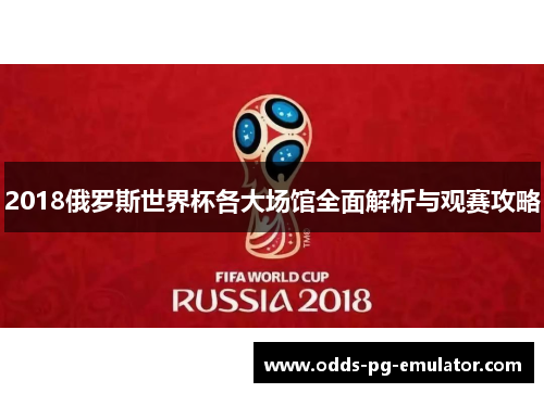 2018俄罗斯世界杯各大场馆全面解析与观赛攻略 2018俄罗斯世界杯各大场馆全面解析与观赛攻略