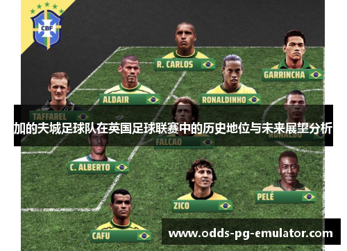 加的夫城足球队在英国足球联赛中的历史地位与未来展望分析