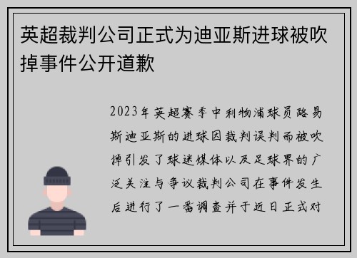 英超裁判公司正式为迪亚斯进球被吹掉事件公开道歉